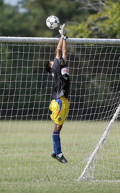 詹姆斯不仅 詹姆斯不仅