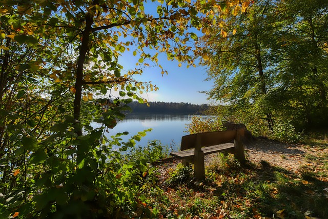 业的进步 业的进步