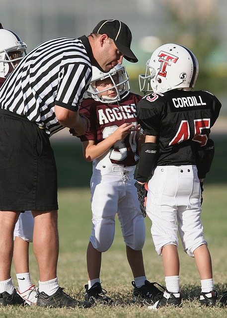 运动精神的 运动精神的