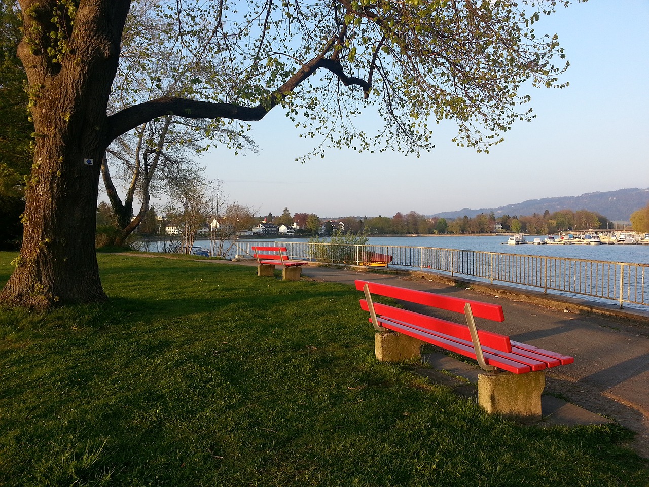 管理层需要 管理层需要